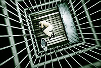 Photo of an individual in a tall jail cell.